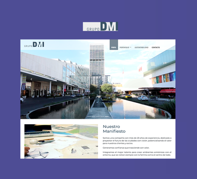 DMI Diseño de página web