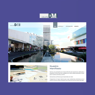 DMI Diseño de página web