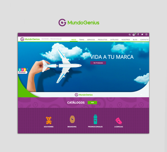 Diseño de páginas web en guadalajara